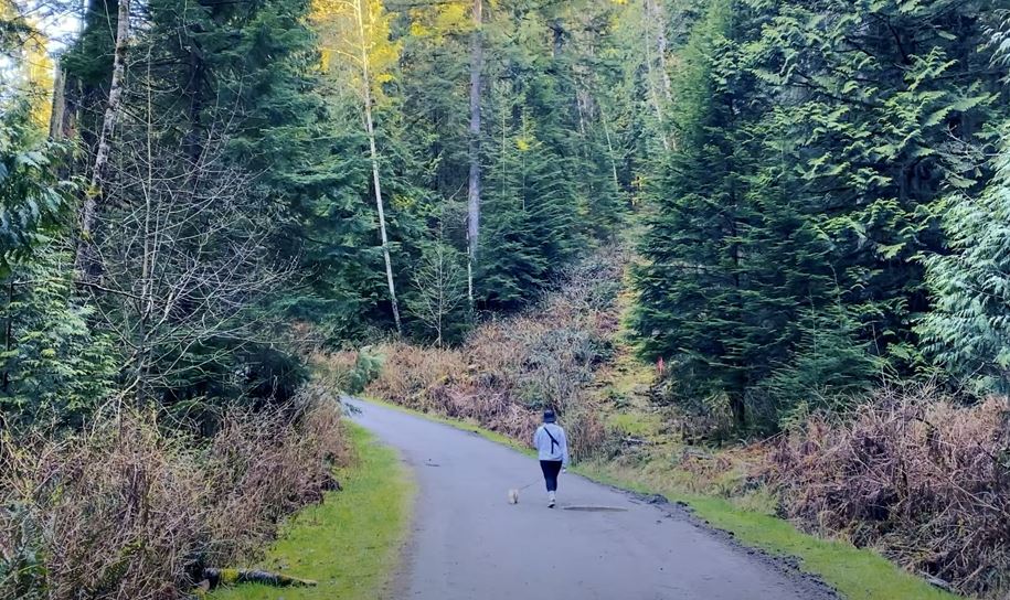 Buntzen Lake Trail